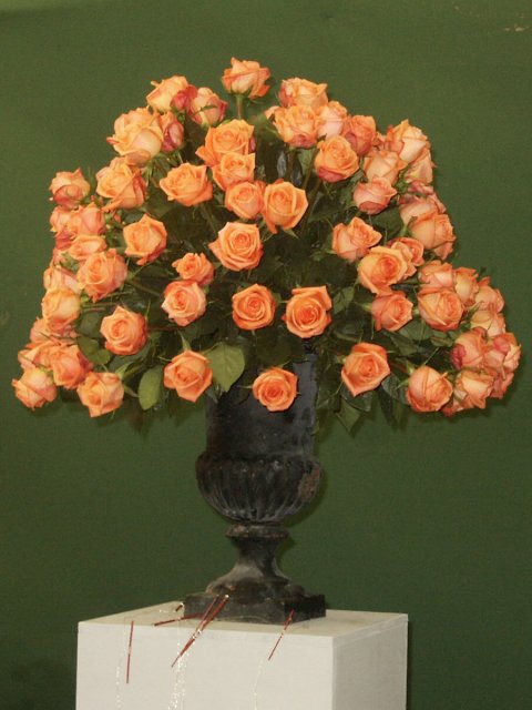 Nouvelle administratrice ! Roses